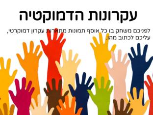 עקרונות הדמוקרטיה by אליאנה סובטוב