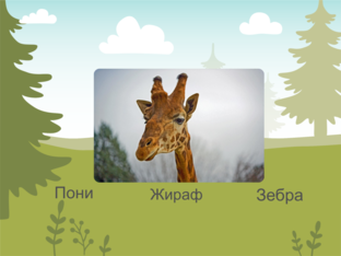 Животные  by Александра