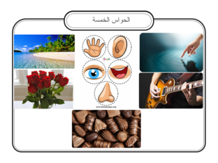 الحواس الخمسة by 