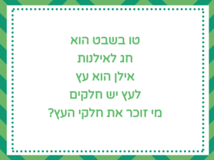 חלק העץ by tal tilis