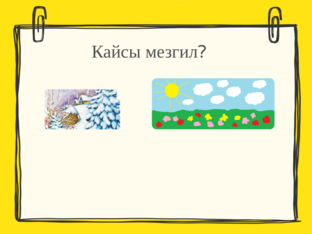 Өзүңдү текшерүү by Кундуз Адем