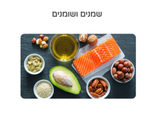 שמנים ושומנים by נעם זהבי