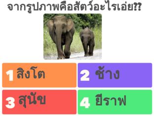 ทดสอบความรู้ by นิว 'ว