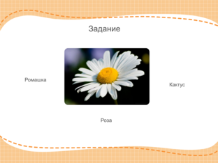 Растения by Полина Баландина