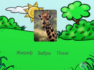 Животные by Natalya Pashnina