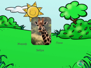 Животные by Айлина Киньябаева