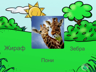 Животные by Maria Ivanova