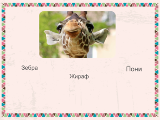 Животные by Ivan