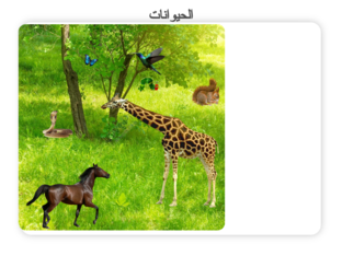 الحيوانات by 