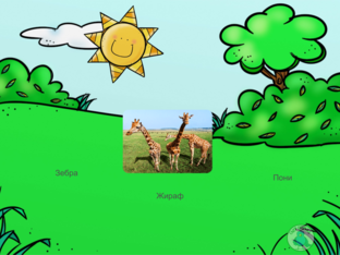 Животные by Дарья Бусыгина