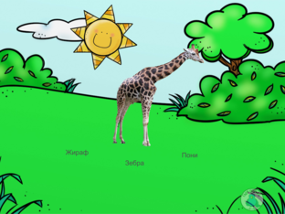 Животные by Полина Беликова