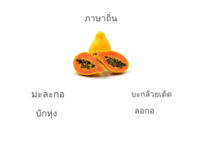 ภาษาถิ่น by ชลิตา พลทอง