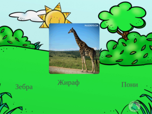 животные by Valeria Fazlyeva