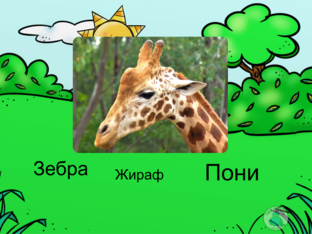 Животные by Ангелина Глущенко