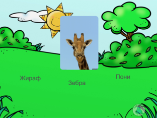 Животные by Ксения Соловьёва