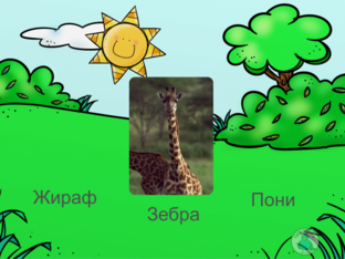 Животные by Полина Фокина