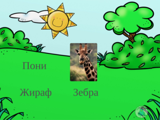 ЖИВОТНЫЕ by 