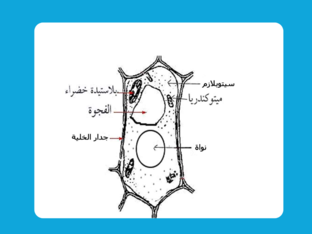ععع by fadhel almubark
