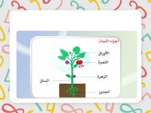 لعبة by Asma Albreiki
