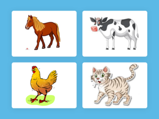 חיות by אביטל גרינצייג