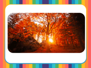 actie-reactie herfst by Ann Legrand