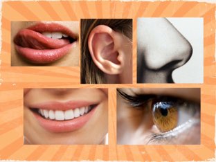 adivina  by Paty pricila