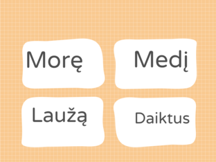 Žaidimas šeimai by Irma Irmuze