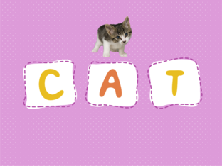 animal by Kanyarat Rodjana