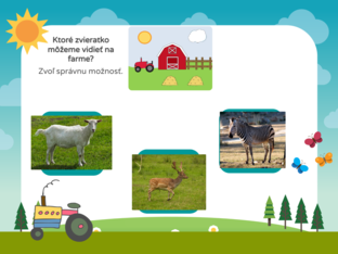 animal by Lenka Tomčíková