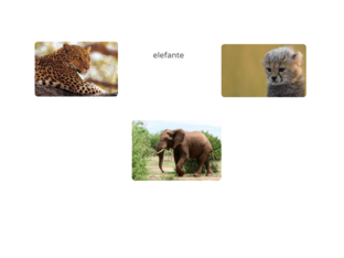 animales by tania barcelo ferrer