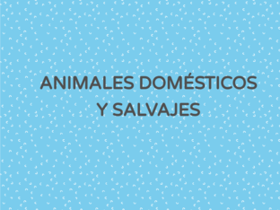 animales domésticos y salvajes by Rut Mena Culebras