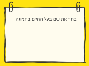 animals by christine karkabie