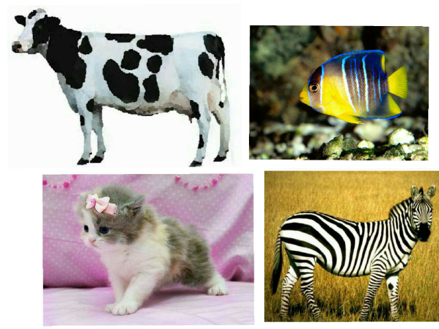 animals by om-turky Alhrby