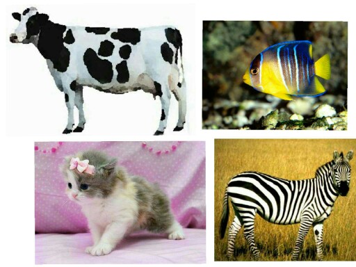 animals by om-turky Alhrby