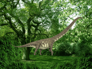 arash king dinosaur puzzle by muhammad arash