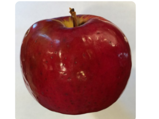 build the apple! by roesly star