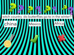 butterfly and caterpillar  by maggie ellis