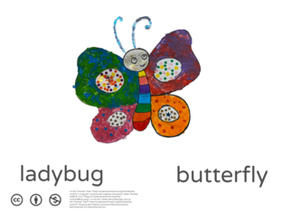butterfly by José Alberto García