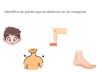 cabeza, hombros, rodilla ,pies by 