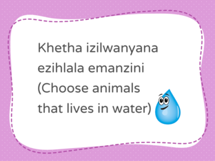 choosing game  by Thabile Chiya