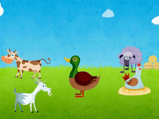 cluck by Kiersten gatewood