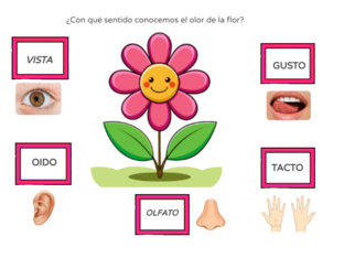 ¿con qué sentido lo usamos? by Miss Scarleth