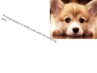 corgi puppy.  by adrianna keener