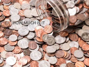 counting coins by Pearlie