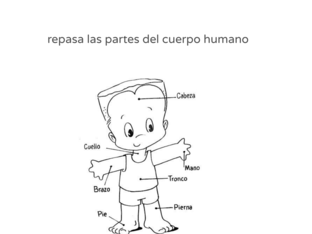 cuerpo humano y sus partes by 