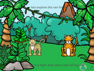 diffrent types of rain frorest animals by lilly mae Tubbritt