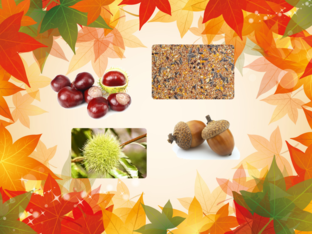 duid aan  by Jerel Lenaert