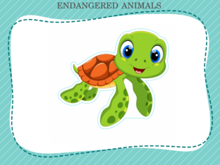 endangered animal by Nur Syuhada