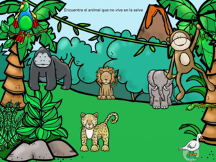 fauna en la selva by Ideas Emergentes