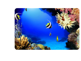 fondo marino by Ty U Gu